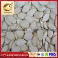 Hot Sale Snow White Pumpkin Seeds with Ce